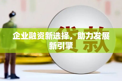 洋县企业融资新选择，助力发展新引擎