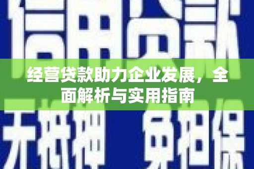 洋县经营贷款助力企业发展，全面解析与实用指南