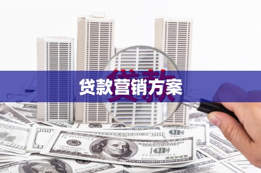 洋县贷款营销方案
