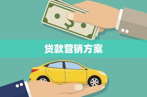 洋县贷款营销方案