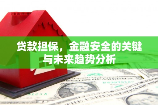 洋县贷款担保，金融安全的关键与未来趋势分析