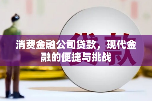 洋县消费金融公司贷款，现代金融的便捷与挑战