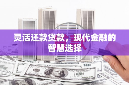 洋县灵活还款贷款，现代金融的智慧选择