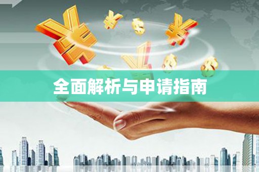 洋县全面解析与申请指南