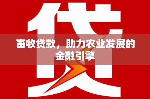 洋县畜牧贷款，助力农业发展的金融引擎