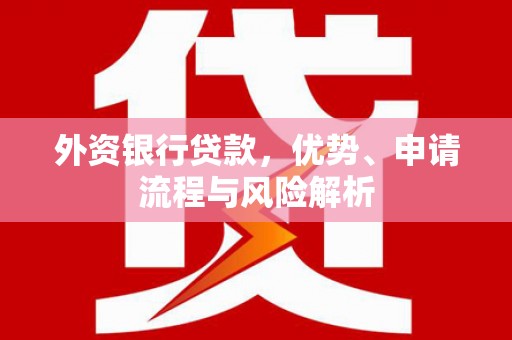 洋县外资银行贷款，优势、申请流程与风险解析