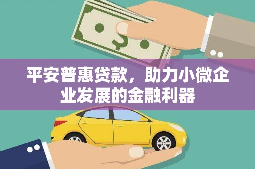 洋县平安普惠贷款，助力小微企业发展的金融利器