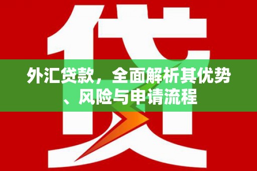 洋县外汇贷款，全面解析其优势、风险与申请流程