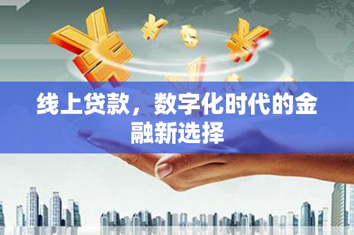 洋县线上贷款，数字化时代的金融新选择