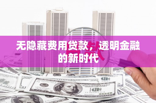 洋县无隐藏费用贷款，透明金融的新时代