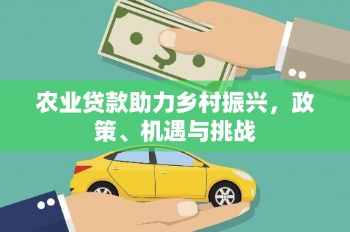洋县农业贷款助力乡村振兴，政策、机遇与挑战