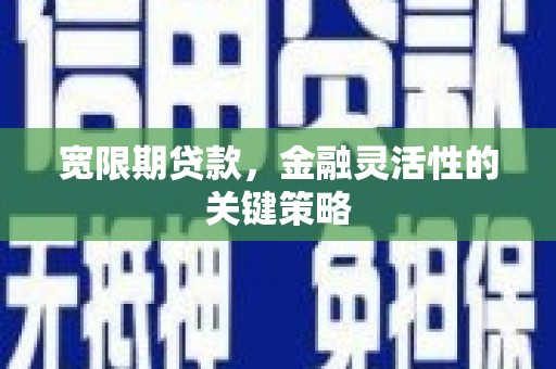 洋县宽限期贷款，金融灵活性的关键策略