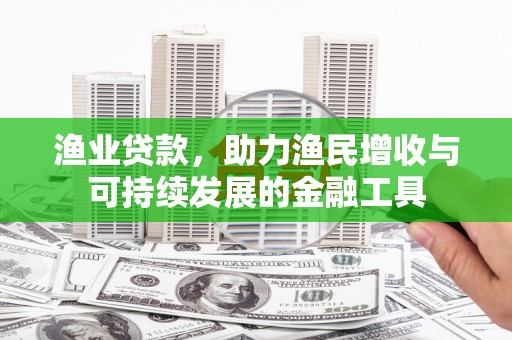 洋县渔业贷款，助力渔民增收与可持续发展的金融工具