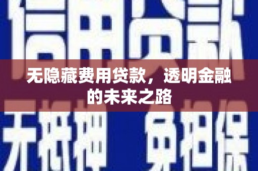 洋县无隐藏费用贷款，透明金融的未来之路