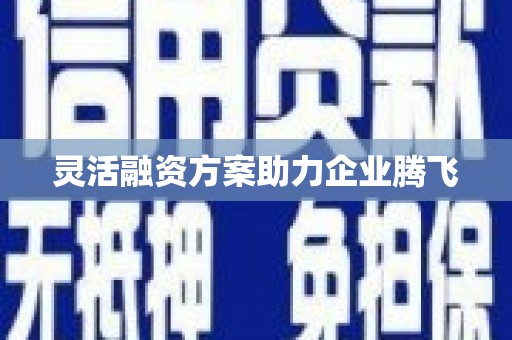 洋县灵活融资方案助力企业腾飞