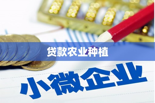 洋县贷款农业种植