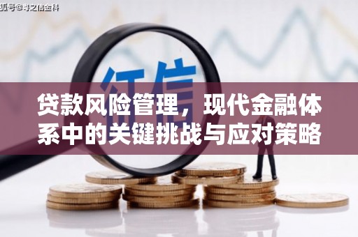 洋县贷款风险管理，现代金融体系中的关键挑战与应对策略