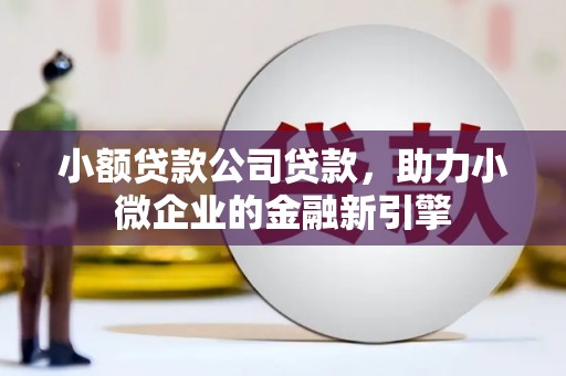洋县小额贷款公司贷款，助力小微企业的金融新引擎