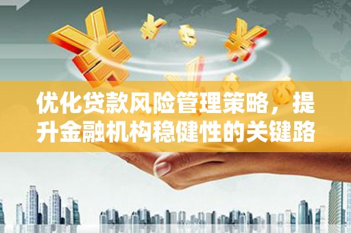洋县优化贷款风险管理策略，提升金融机构稳健性的关键路径