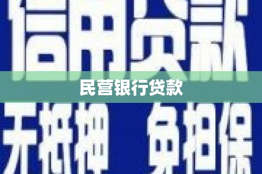 洋县民营银行贷款