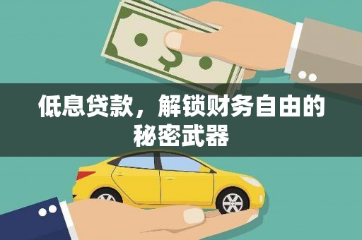洋县低息贷款，解锁财务自由的秘密武器