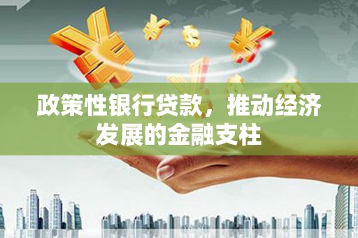 洋县政策性银行贷款，推动经济发展的金融支柱