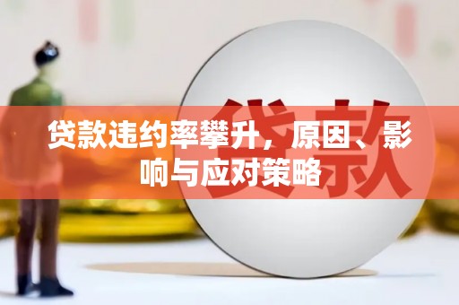 洋县贷款违约率攀升，原因、影响与应对策略