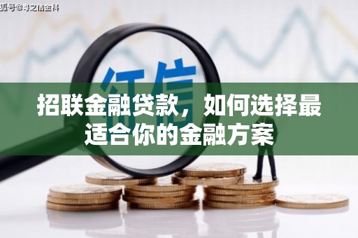 洋县招联金融贷款，如何选择最适合你的金融方案
