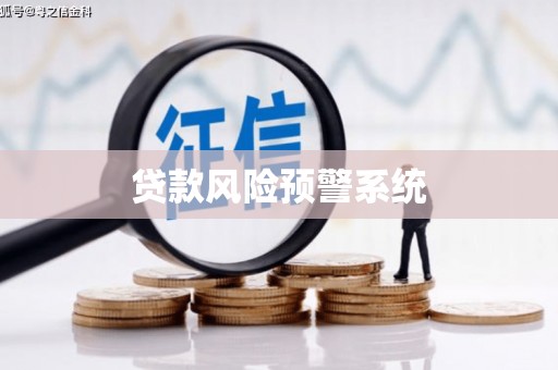 洋县贷款风险预警系统