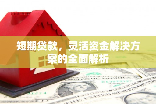 洋县短期贷款，灵活资金解决方案的全面解析
