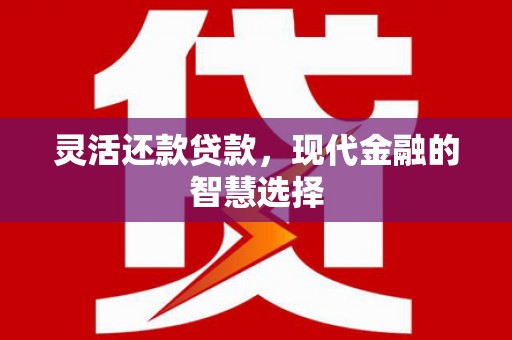 洋县灵活还款贷款，现代金融的智慧选择