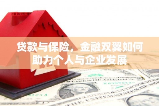 洋县贷款与保险，金融双翼如何助力个人与企业发展
