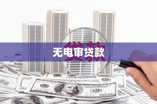 洋县无电审贷款