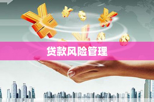 洋县贷款风险管理