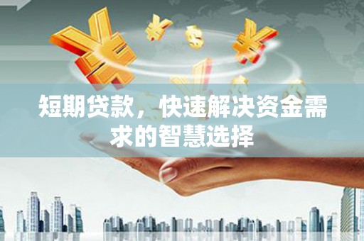洋县短期贷款，快速解决资金需求的智慧选择