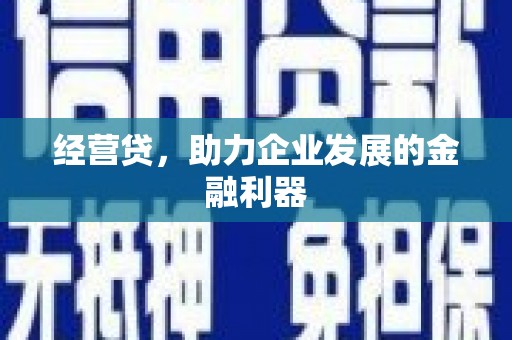 洋县经营贷，助力企业发展的金融利器