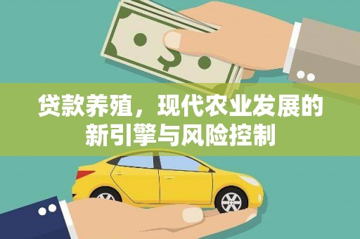 洋县贷款养殖，现代农业发展的新引擎与风险控制