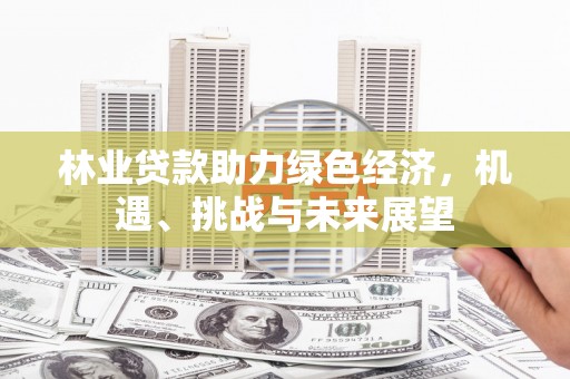 洋县林业贷款助力绿色经济，机遇、挑战与未来展望