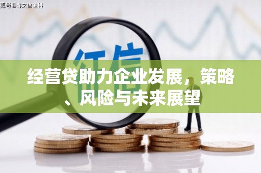 洋县经营贷助力企业发展，策略、风险与未来展望