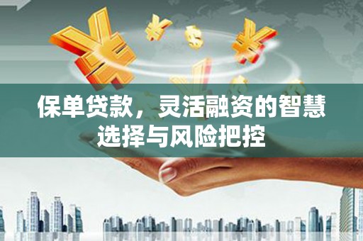 洋县保单贷款，灵活融资的智慧选择与风险把控