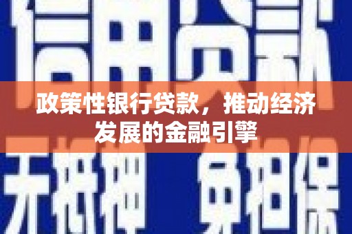 洋县政策性银行贷款，推动经济发展的金融引擎