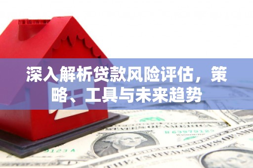 洋县深入解析贷款风险评估，策略、工具与未来趋势