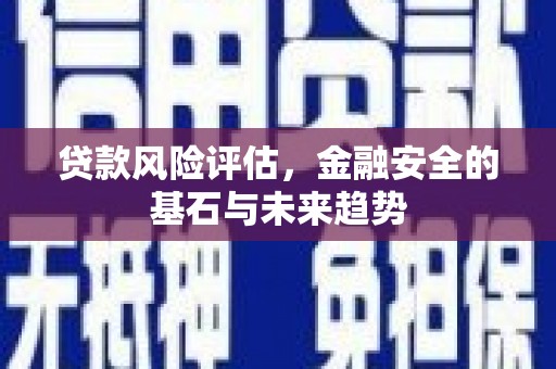 洋县贷款风险评估，金融安全的基石与未来趋势