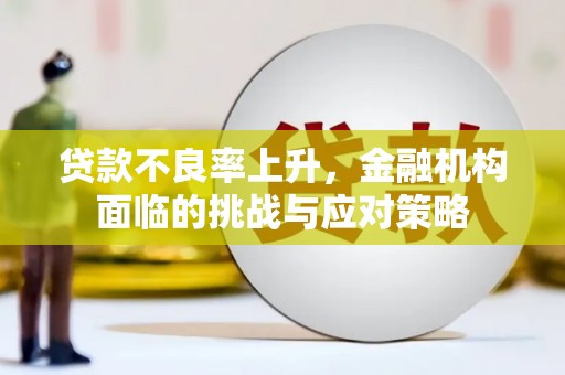 洋县贷款不良率上升，金融机构面临的挑战与应对策略