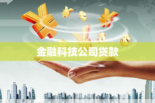 洋县金融科技公司贷款