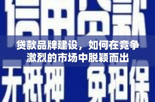 洋县贷款品牌建设，如何在竞争激烈的市场中脱颖而出