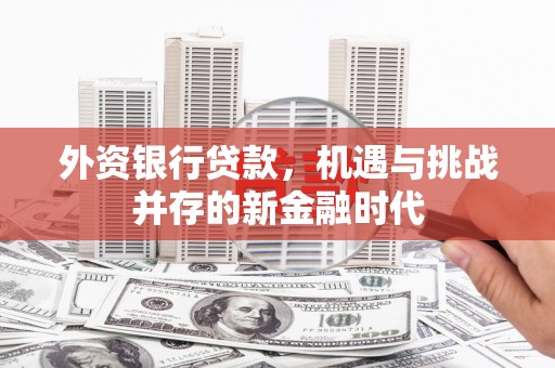 洋县外资银行贷款，机遇与挑战并存的新金融时代