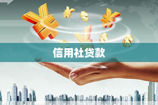洋县信用社贷款