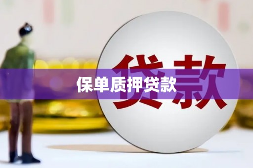 洋县保单质押贷款