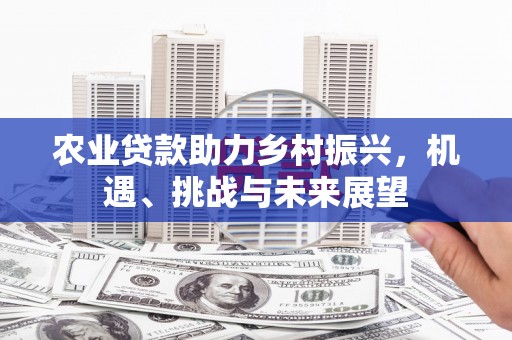 洋县农业贷款助力乡村振兴，机遇、挑战与未来展望